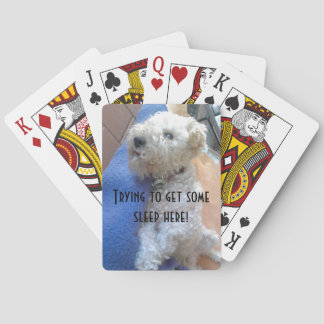 Lakeland terrier cards