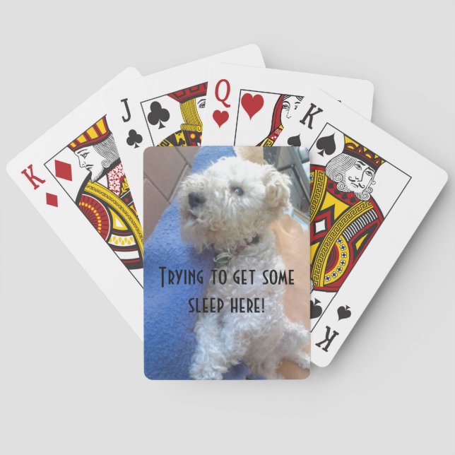 Lakeland terrier cards (Back)