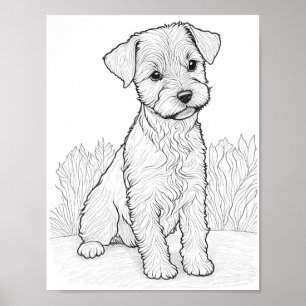 Lakeland Terrier Dog Adult Colouring Poster