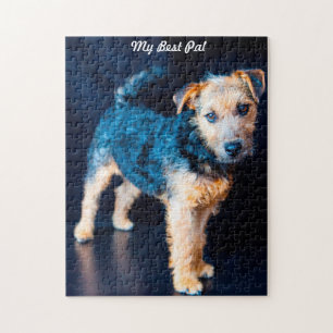 Lakeland Terrier Dog. Jigsaw Puzzle