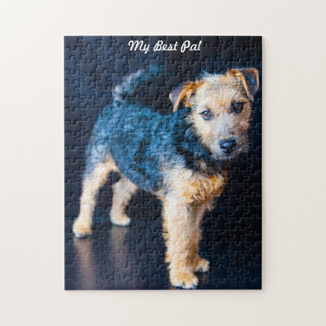 Lakeland Terrier Dog. Jigsaw Puzzle (Vertical)