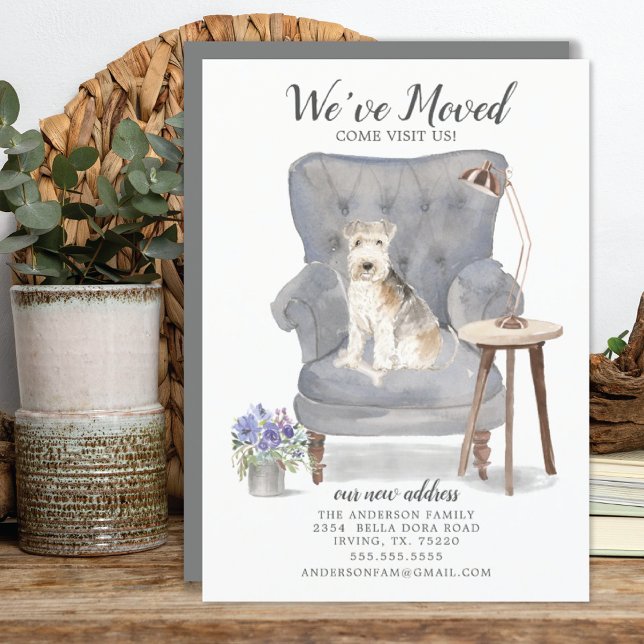 Lakeland Terrier Dog | Moving Announcement (Creator Uploaded)