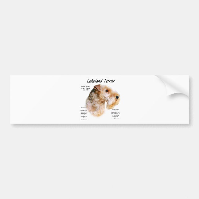 Lakeland Terrier History Design Bumper Sticker (Front)