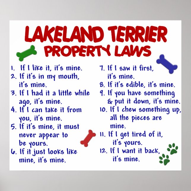 LAKELAND TERRIER PL2 POSTER (Front)