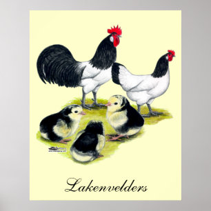 Lakenvelder Chicken Family Poster