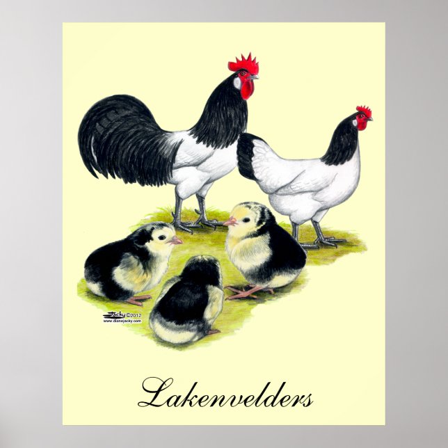 Lakenvelder Chicken Family Poster (Front)