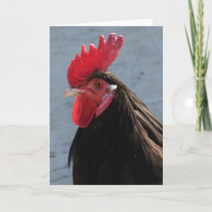 Lakenvelder Rooster Card