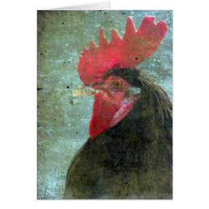Lakenvelder Rooster With Texture