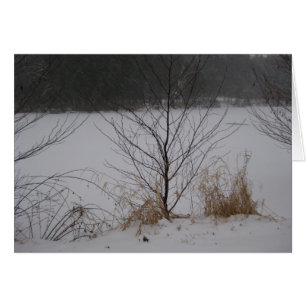 Lake's Edge, Winter