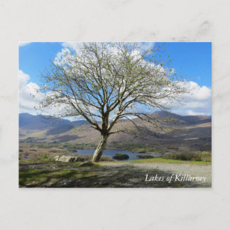 Lakes of Killarney postcard