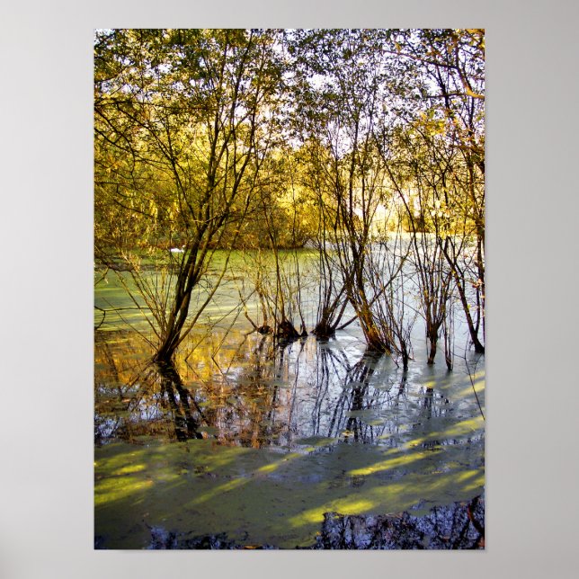 LAKES POSTER (Front)