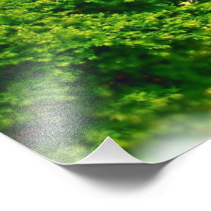 Lakeshores of Chicago Beach Photo Print