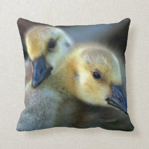Lakeside Cushion