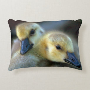 Lakeside Decorative Cushion