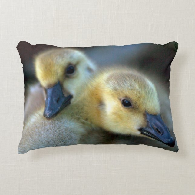 Lakeside Decorative Cushion (Front)