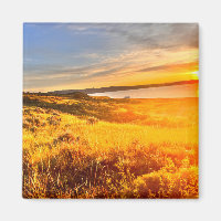 Lakeside Field