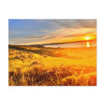 Lakeside Field