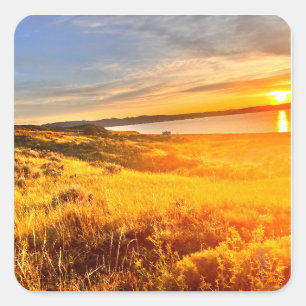 Lakeside Field Square Sticker