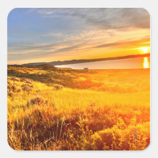 Lakeside Field Square Sticker
