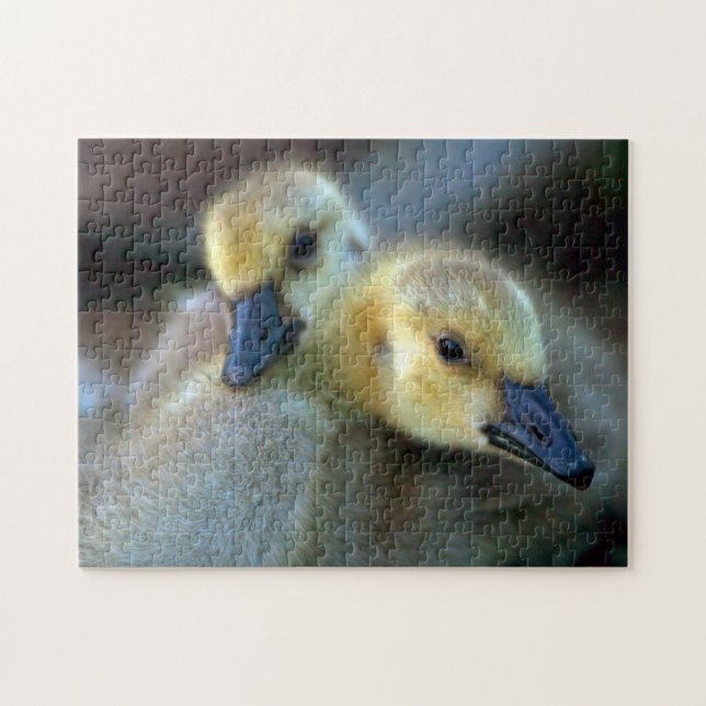 Lakeside Jigsaw Puzzle (Horizontal)