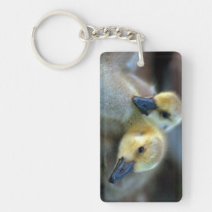 Lakeside Key Ring