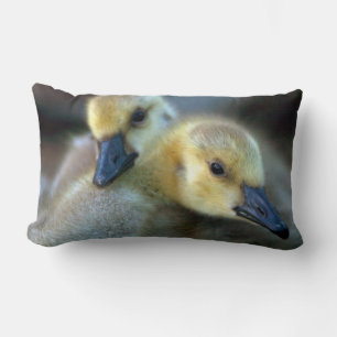 Lakeside Lumbar Cushion