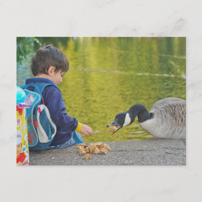 Lakeside Postcard (Front)