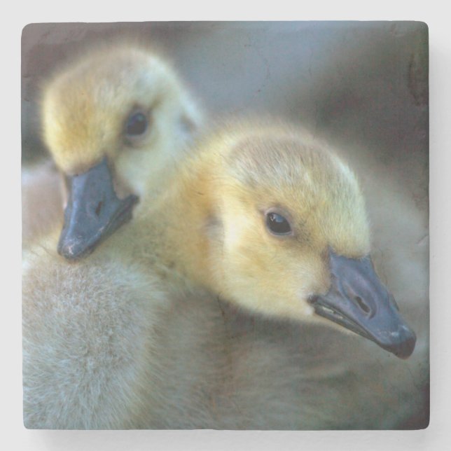Lakeside Stone Coaster (Front)