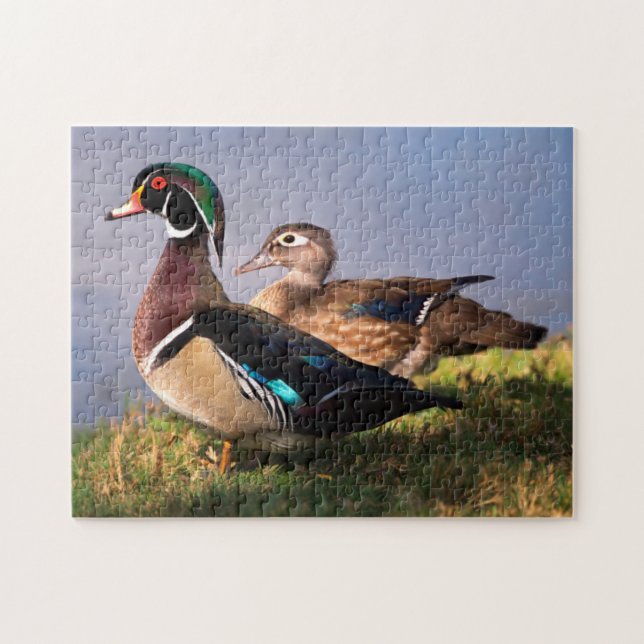 Lakeside, Wood Duck Jigsaw Puzzle (Horizontal)