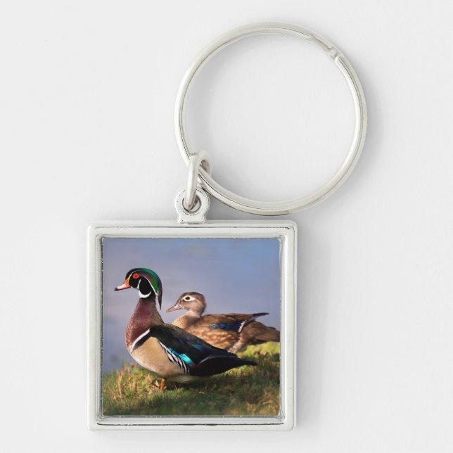 Lakeside, Wood Duck Key Ring (Front)