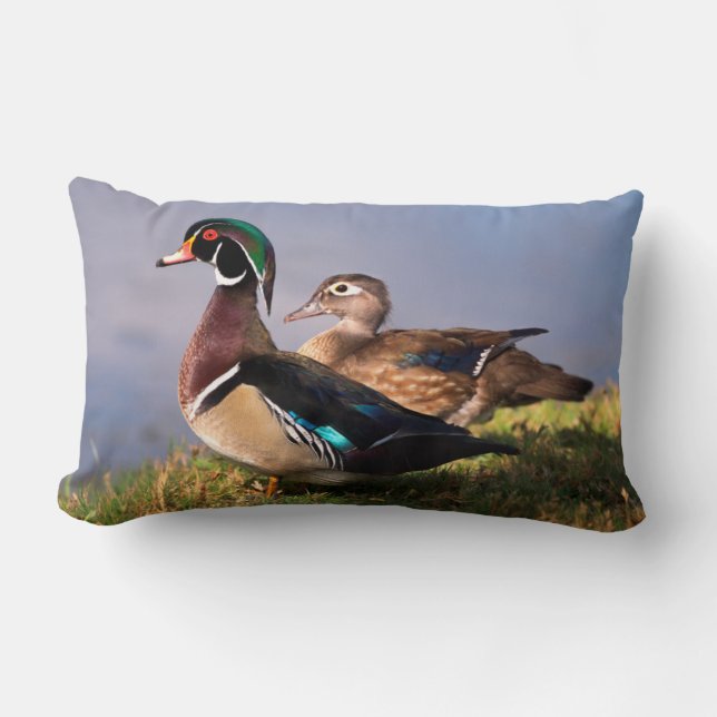 Lakeside, Wood Duck Lumbar Cushion (Front)