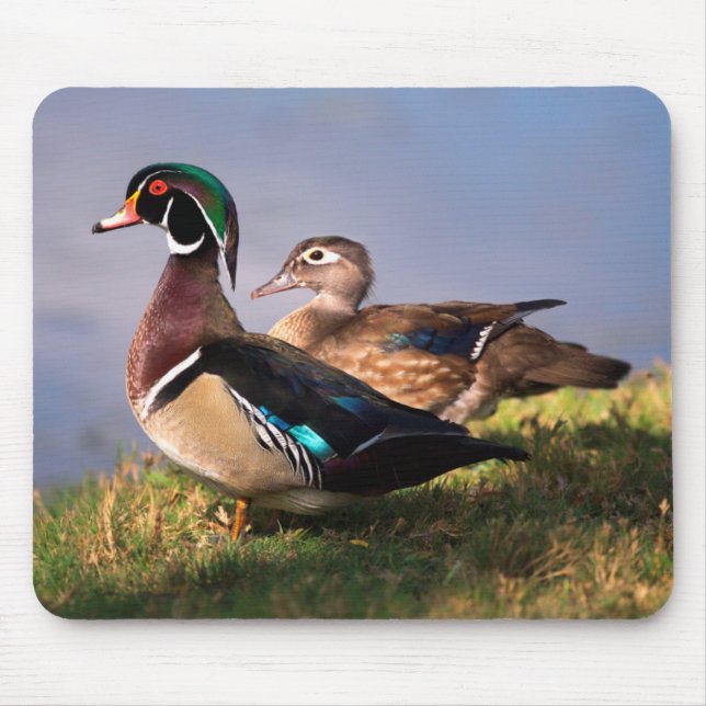 Lakeside, Wood Duck Mouse Pad (Front)