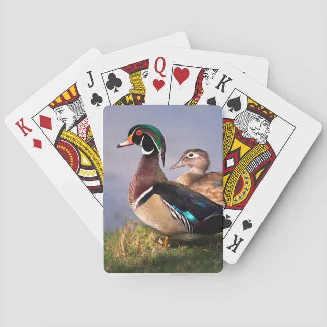 Lakeside, Wood Duck Playing Cards (Back)