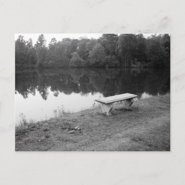 Lakeview View Postcard (Front)