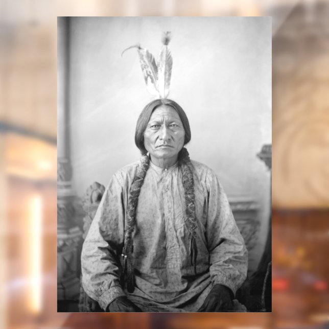 Lakota Leader Sitting Bull Native American Indian  (Sheet 2)