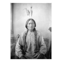 Lakota Leader Sitting Bull Native American Indian