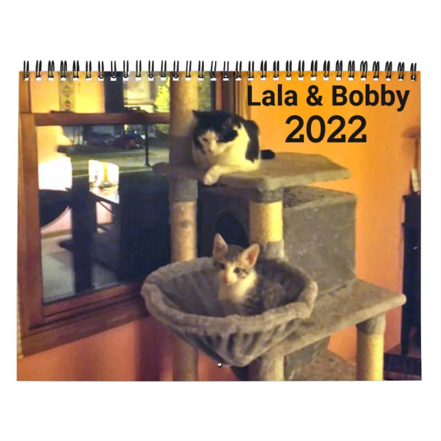 Lala & Bobby 2022 Personalised Cats Calendar (Cover)
