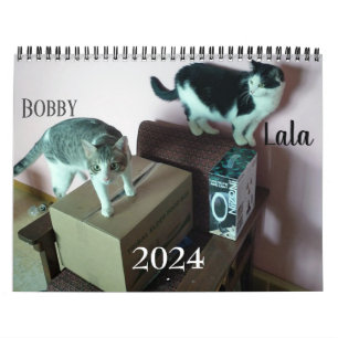 Lala & Bobby Personalized Cat Calendar 2024