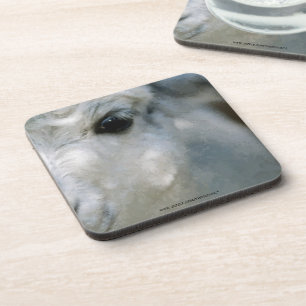Lama Coaster
