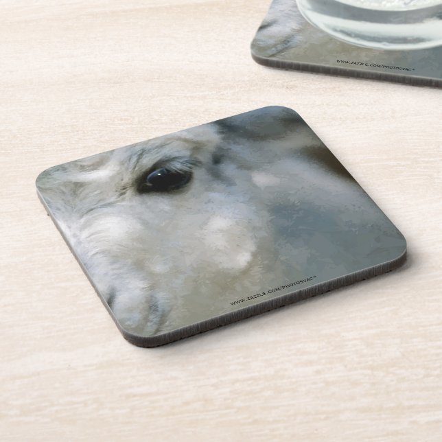 Lama Coaster (Left Side)