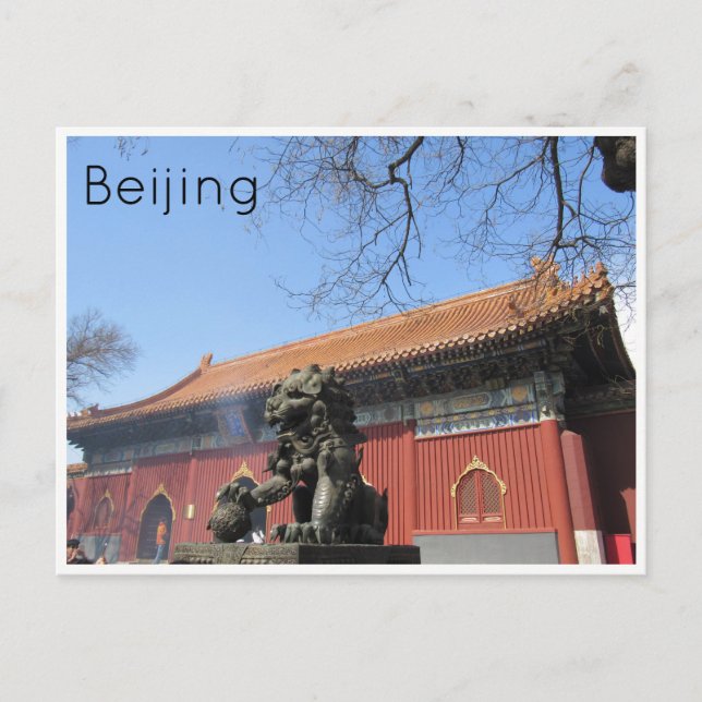 lama temple lion beijing postcard (Front)