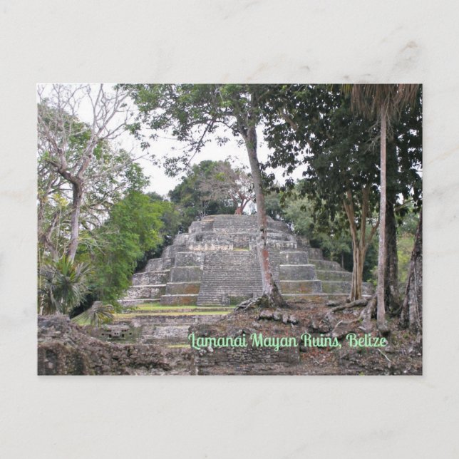 Lamanai Mayan Ruins Belise Postcard (Front)