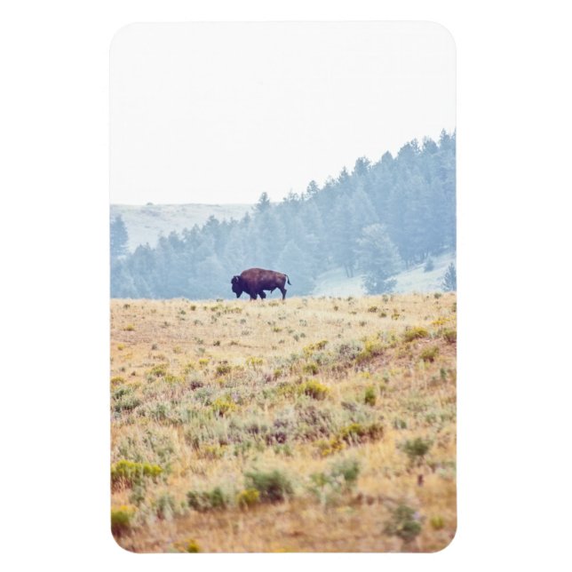 Lamar Magnet (Vertical)