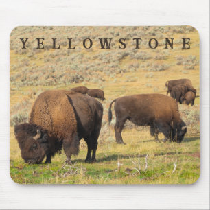 Lamar Valley Bison Yellowstone National Park Mouse Pad