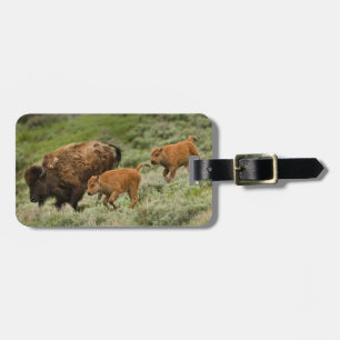 Lamar Valley Mini Stampede Luggage Tag