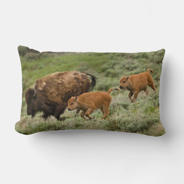 Lamar Valley Mini Stampede Lumbar Cushion (Front)