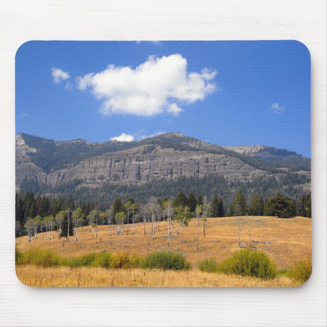 Lamar Valley Mouse Pad (Front)