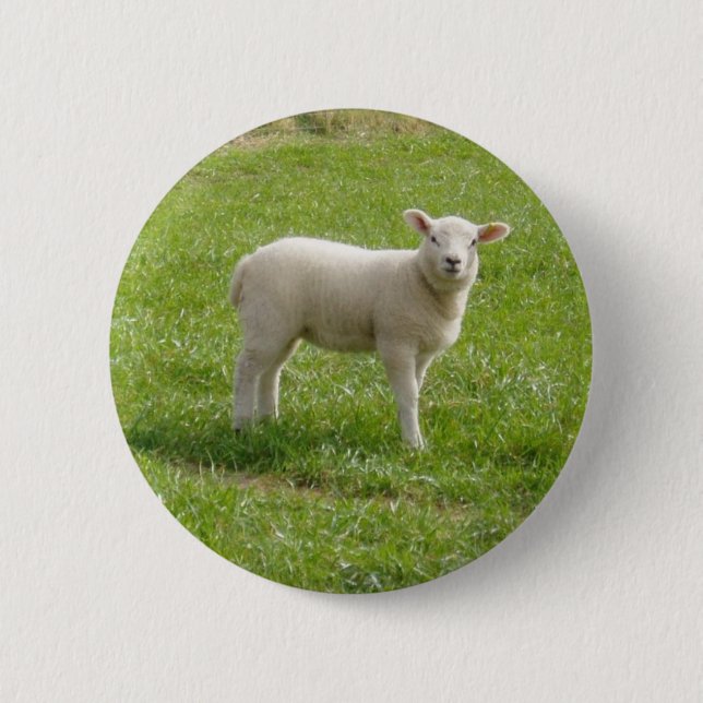 Lamb 6 Cm Round Badge (Front)