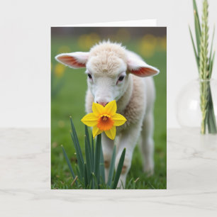 Lamb And Flower Spring Card