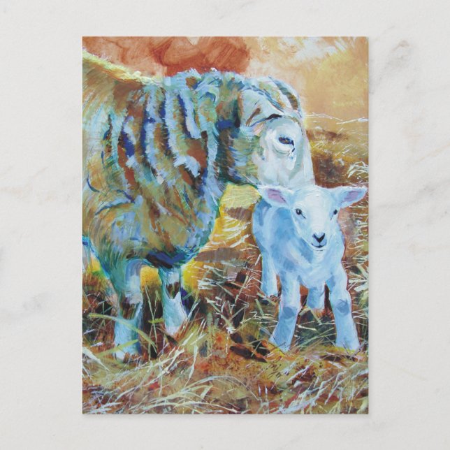Lamb and sheep painting postcard (Front)